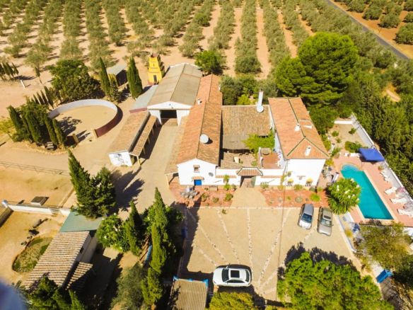 Finca for sale in Antequera