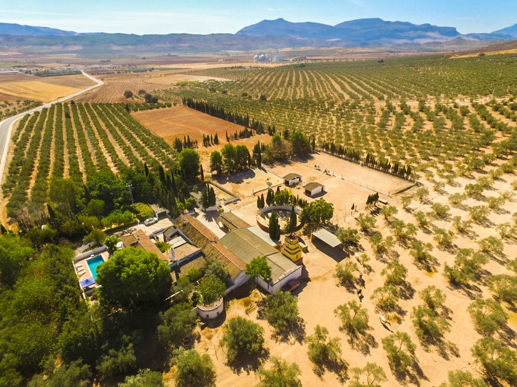 Finca for sale in Antequera