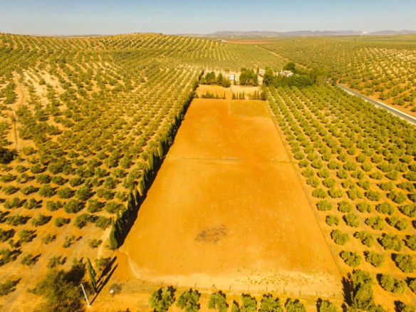 Finca for sale in Antequera