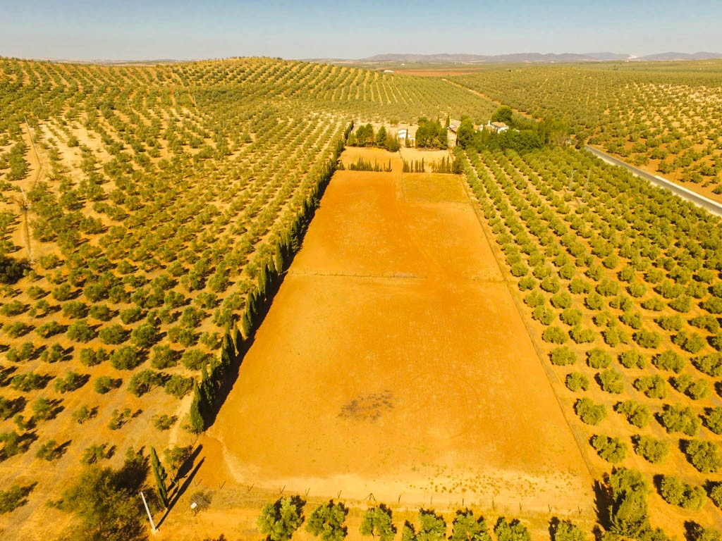 Finca for sale in Antequera