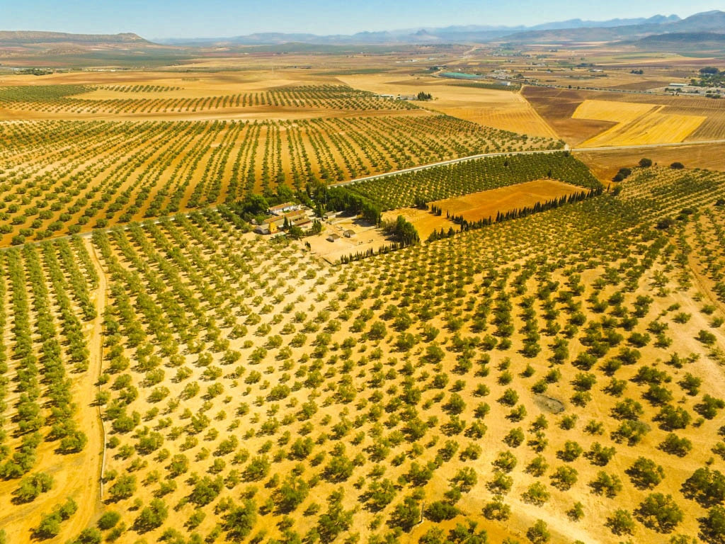 Finca for sale in Antequera