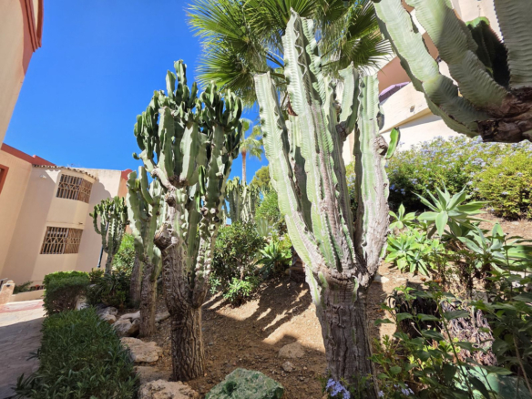 Apartment for sale in Mijas