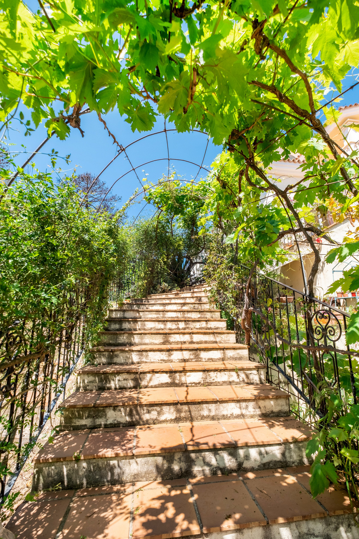 Finca for sale in Estepona