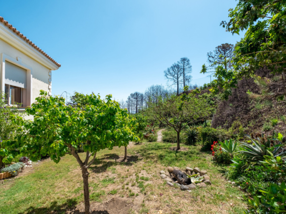 Finca for sale in Estepona