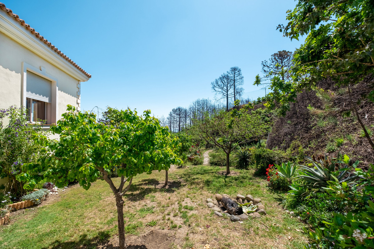 Finca for sale in Estepona