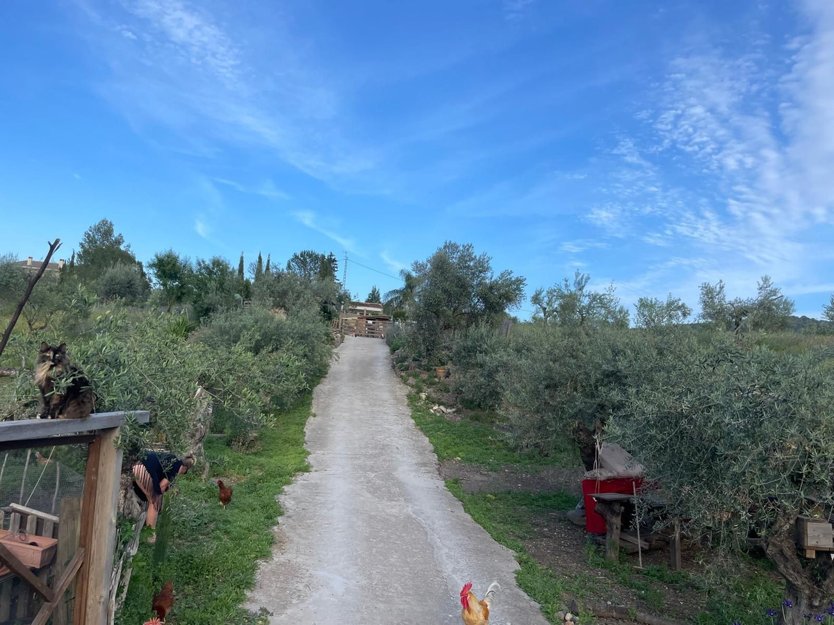 Finca for sale in Monda