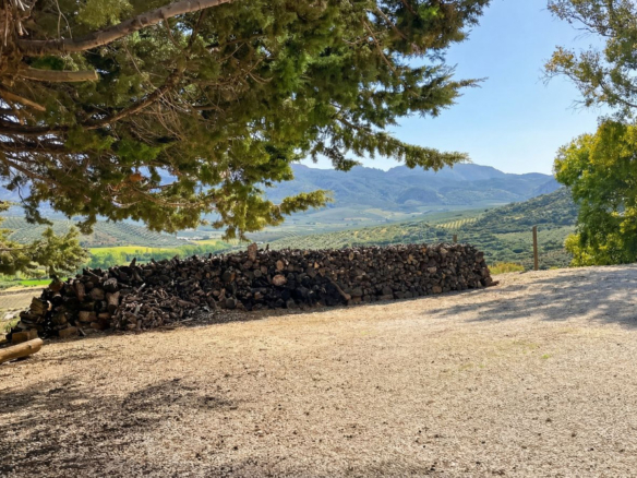 Finca for sale in Villanueva del Rosario