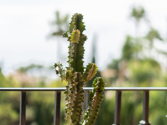 Penthouse for sale in El Paraiso
