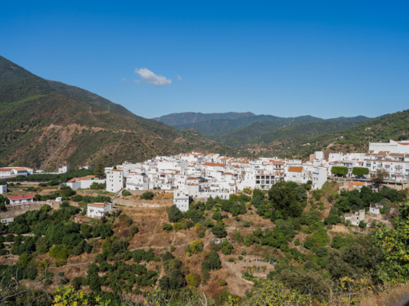 Townhouse for sale in Istán